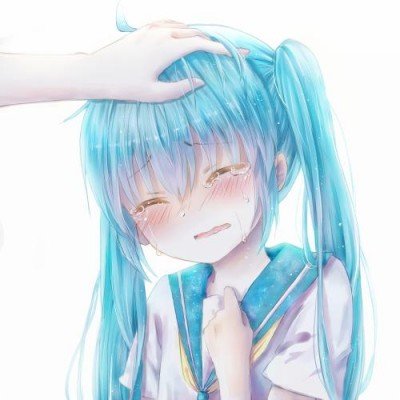 公司欠债倒闭五只猫咪员工被法拍